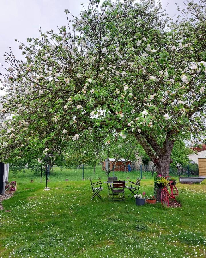 Gite Au Pommier Fleuri Et Son "Appart" Independant Drusenheim Exterior photo