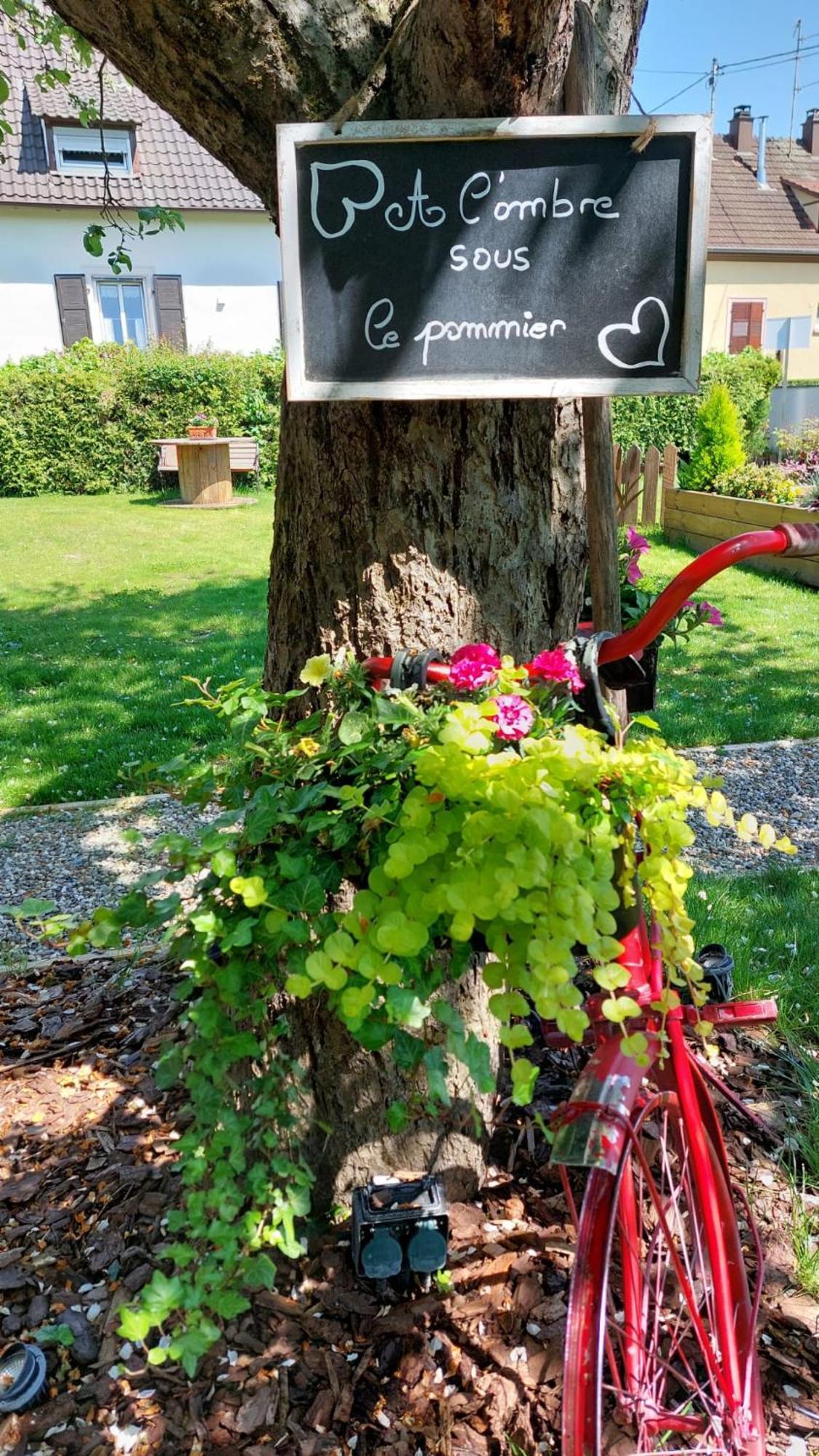 Gite Au Pommier Fleuri Et Son "Appart" Independant Drusenheim Exterior photo